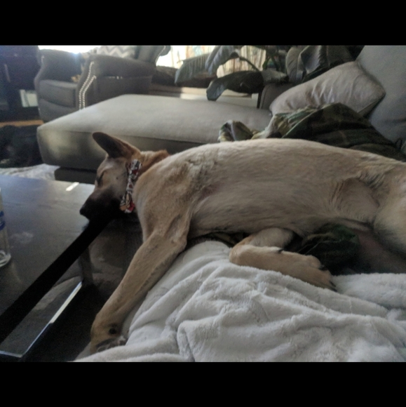 I'm Live! Come Sleep On Posh With Me!! - Picture 6 of 10